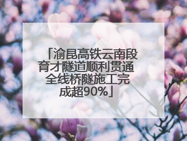 渝昆高铁云南段育才隧道顺利贯通 全线桥隧施工完成超90%